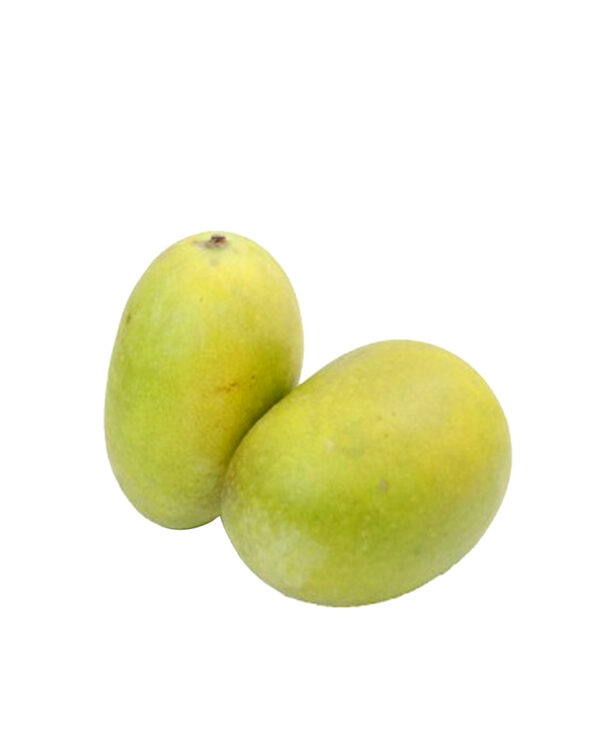 Fresh Honey Dew Melon - Kolkata Web